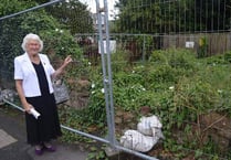 Resident hopes Town Council will tackle repairs in Ross-on-Wye