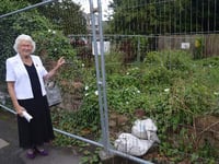 Resident hopes Town Council will tackle repairs in Ross-on-Wye