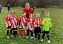 Ross Juniors U6s enjoy dominant display