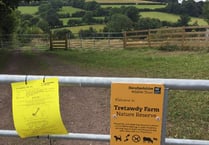 Cold Comfort Farm shadow over reserve row