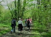 Rotary's popular springtime walk will now take place in September