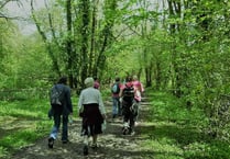 Rotary's popular springtime walk will now take place in September