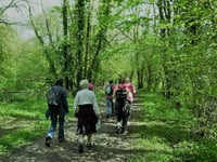 Rotary's popular springtime walk will now take place in September