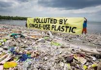 Have your say on plastic ban, urges Ross charity