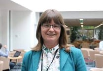 Public health director leaving county