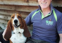 One man and his dog launch new business