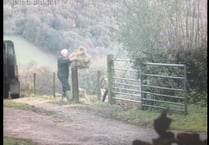 Banned farmer jailed for breaching animal ban