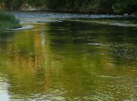 River clean-up measures 'not enough' MP says