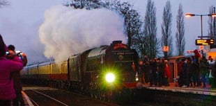 Forest View with Dave Kent