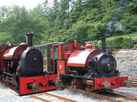 Help keep £300k steam engine project on track
