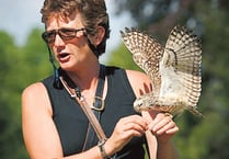 Renowned birds of prey centre closes to visitors