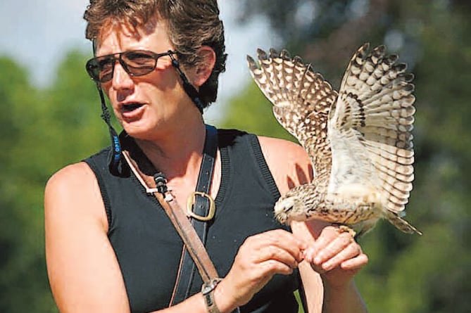 International Birds of Prey Centre at Newent closes to visitors