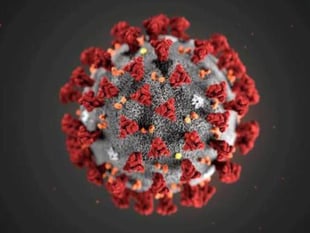 609 further coronavirus cases in Herefordshire