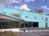 Man arrested after dog attack in Newent