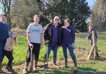 Burglary shock for rowers after hedge planting day