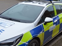Police sack Michael Darbyshire following conviction for rape