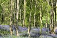 Spring meeting heralds the start of golf club’s summer season