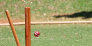 Leaders lose by just one wicket