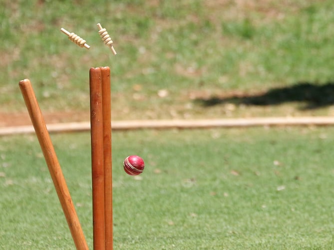 Cricket stock photo.