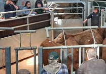 Ross Market livestock traded at impressive prices