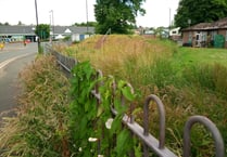 Vegetation spill at water station