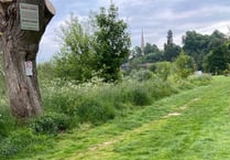 No-mow-Wye: council sets record straight