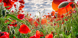 John Kyrle students mark Remembrance
