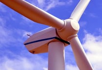 Big Green Week shaking up and celebrating community actions