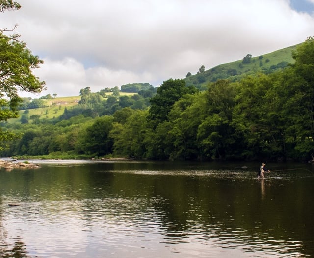 Fishing ban introduced as rivers heat up