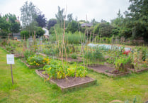Lady’s fitness at the community garden are cancelled for this week
