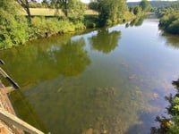 Wye salmon ‘saved’ by giant reservoir release