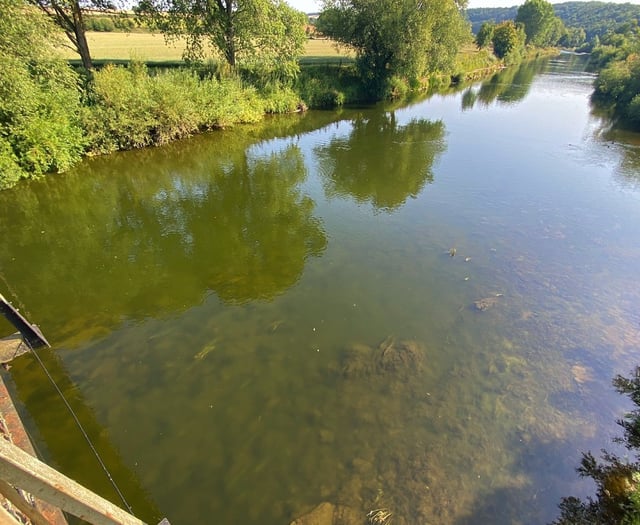 Wye salmon ‘saved’ by giant reservoir release