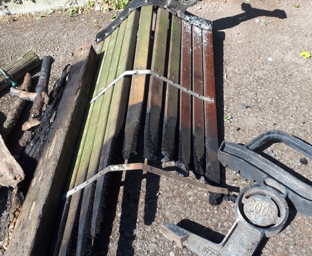 Police hunt firebug yobs after skatepark damage