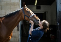 Ross race yards open days