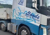 Lorries attacked by graffiti yobs