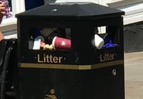 Ross to get litter enforcement officer