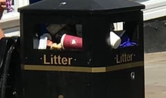 Ross to get litter enforcement officer