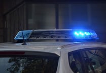 Four lambs decapitated at Newent farm over the weekend