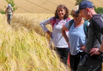 1,600 miles covered at Ross Walking Festival