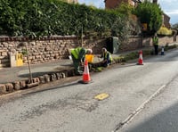 Volunteers turn up to keep their town weed free