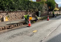 Volunteers turn up to keep their town weed free