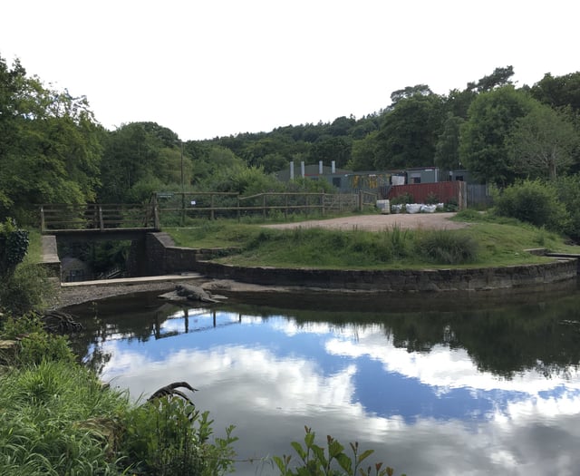 Plans for the future of Cannop Ponds unveiled