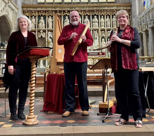 Members of Newent Orchestra
