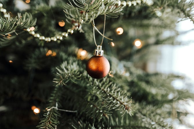 Christmas Tree 