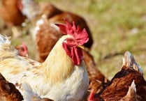 Super-bugs Wye ‘threat’ from intensive farming