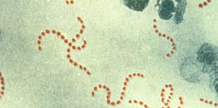 Health chiefs reassure parents in Wales over Strep A concerns