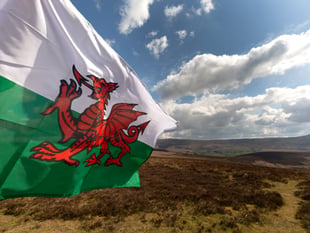 Ross Welsh Speakers and Learners Group set to launch