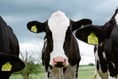 Free farm audit are being offered to 30 farms in the county