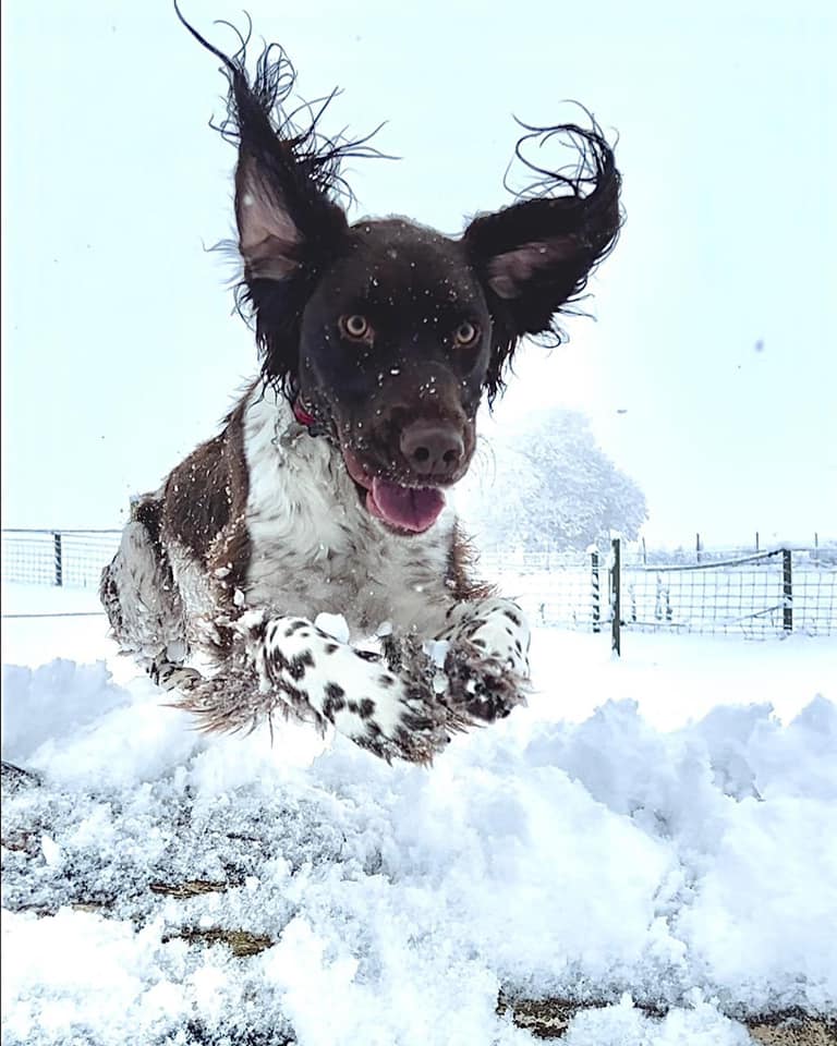 Readers' pictures of their fun in the snow