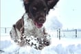 Readers' pictures of their fun in the snow